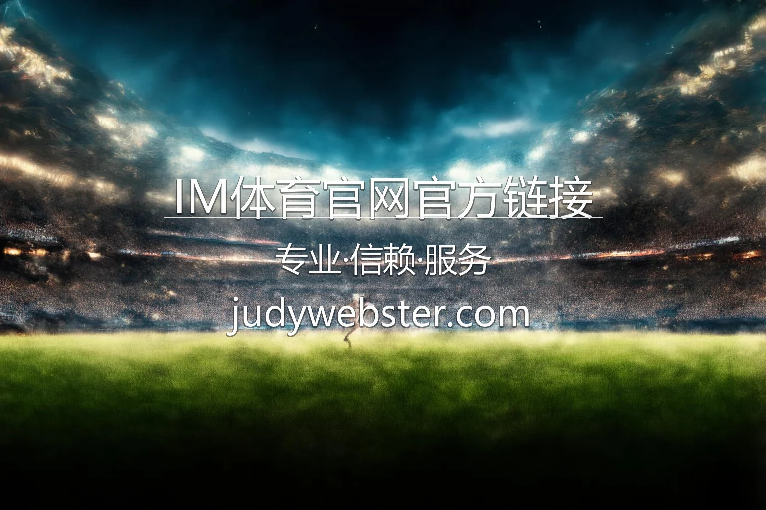 IM体育官网官方链接